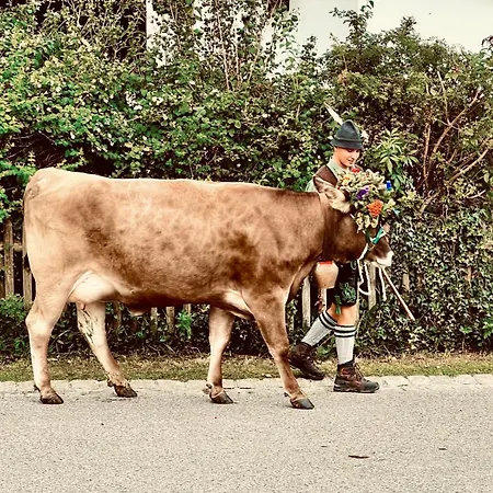 Neubauwohnung Edelweiss Im Allgaeu *